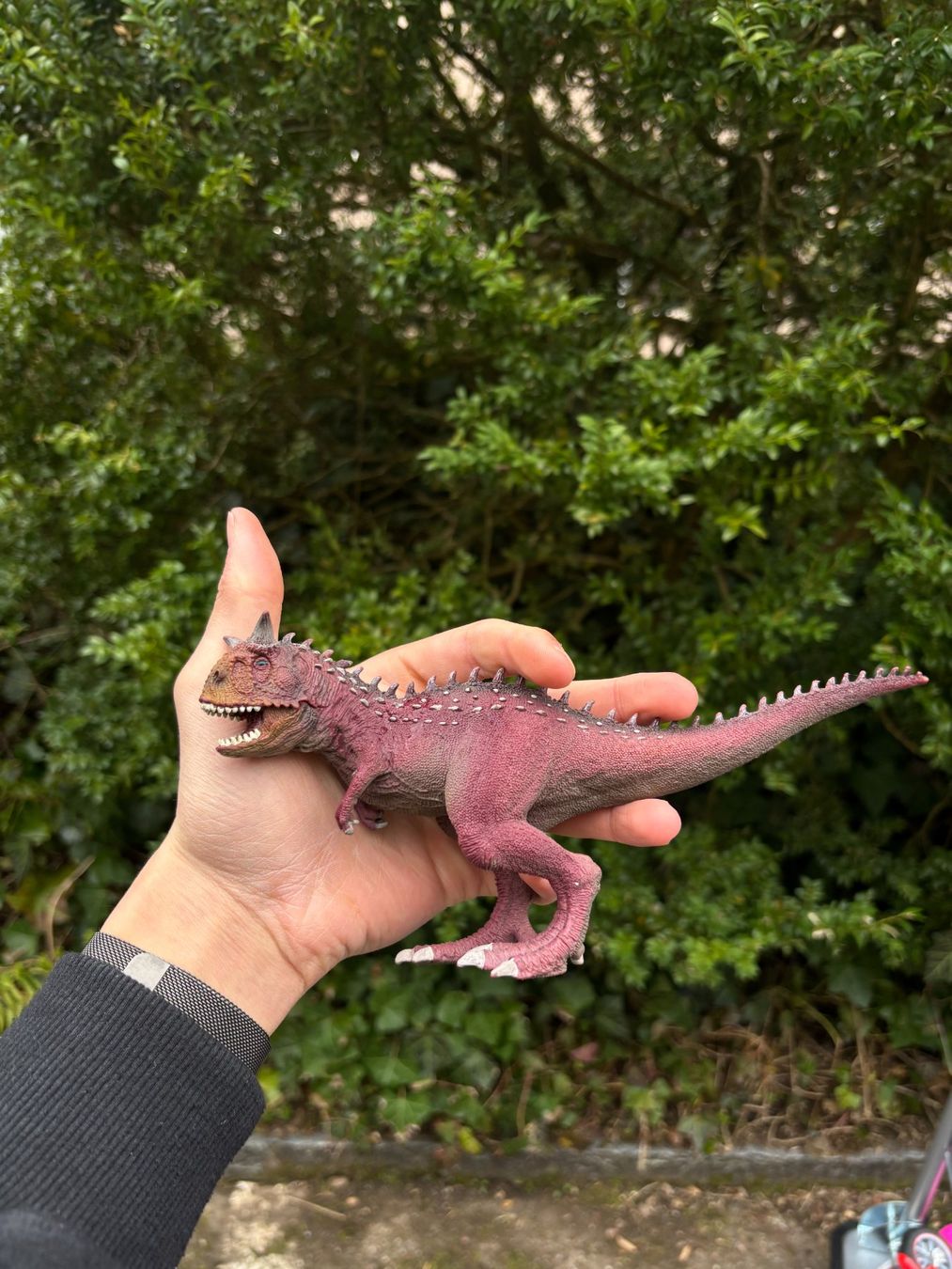 Schleich Giocattoli: Schleich Dinosaurier Carnosaurus. – Usato da Stäfa venduto da MazzaH 2