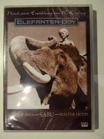 Elefanten-Boy