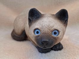 SANDICAST niedliche lebensechte Katze Siamese #215 BRUE