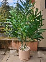 2x Kave Home Kunstpalmen inkl. Blumentopf 
