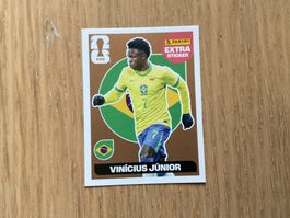 Vini bronzen panini