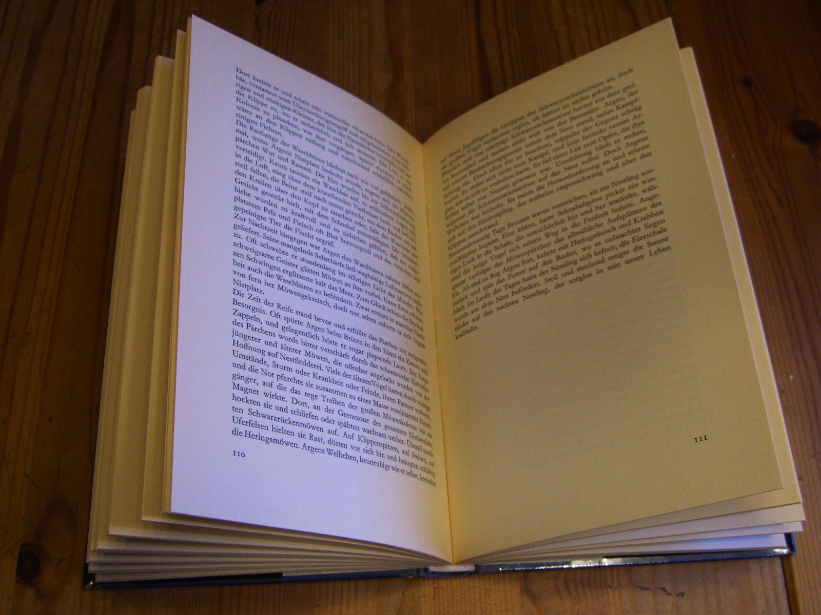 Bücher: Argen die Möwe, von H. u. G. Panske – Gebraucht aus Winterthur von Ghandi5 3