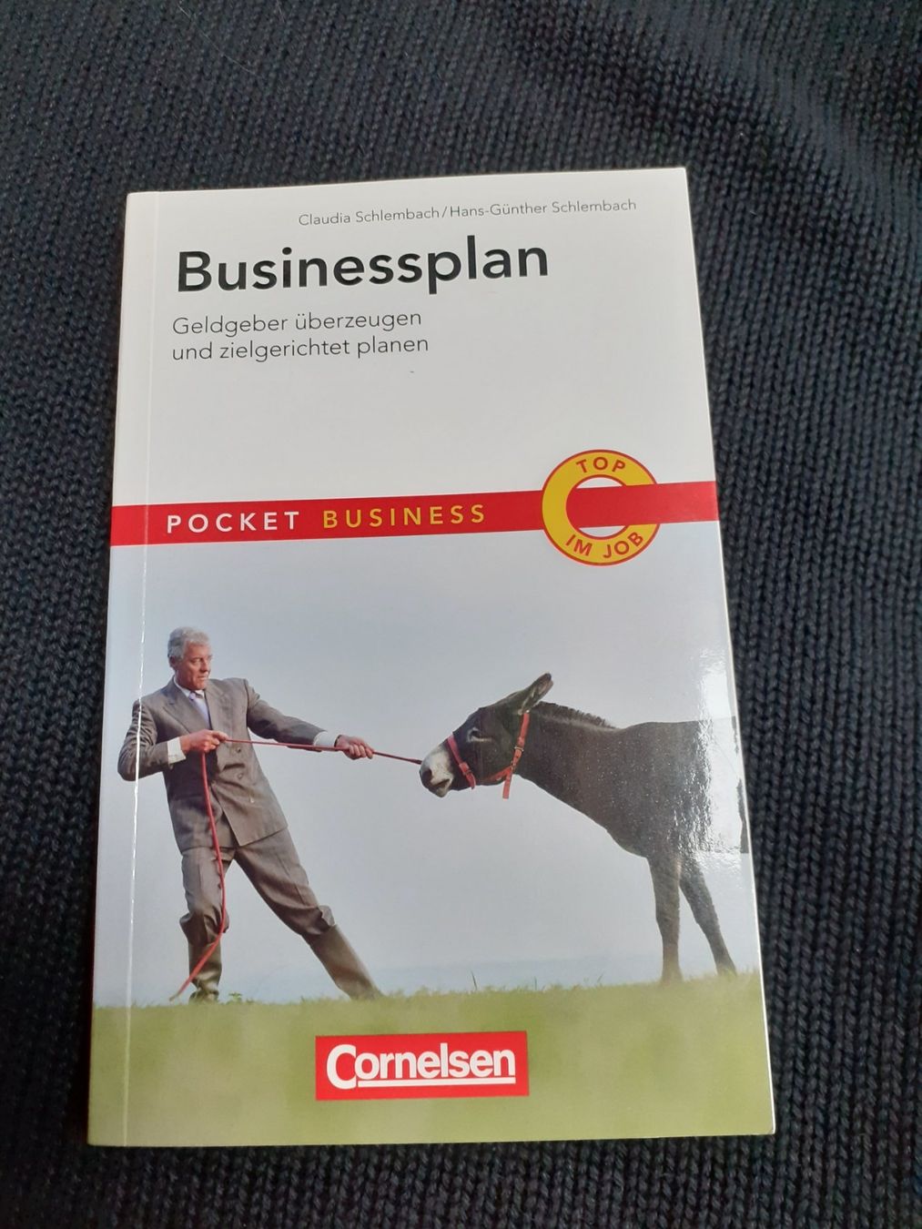 Libri: Taschenbuch Business Plan – Nuovo (secondo la descrizione) da Bure venduto da Srh2 1