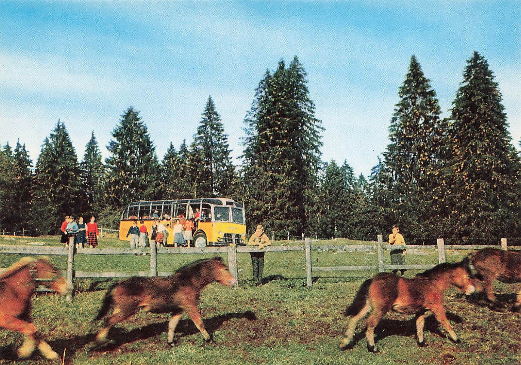 Cartoline postali: Poste alpine svizzere Jura postauto – Usato da Biasca venduto da Blenio71
