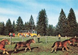 Poste alpine svizzere Jura postauto