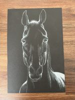 Zeichnung Pferd Schwarz Weiss