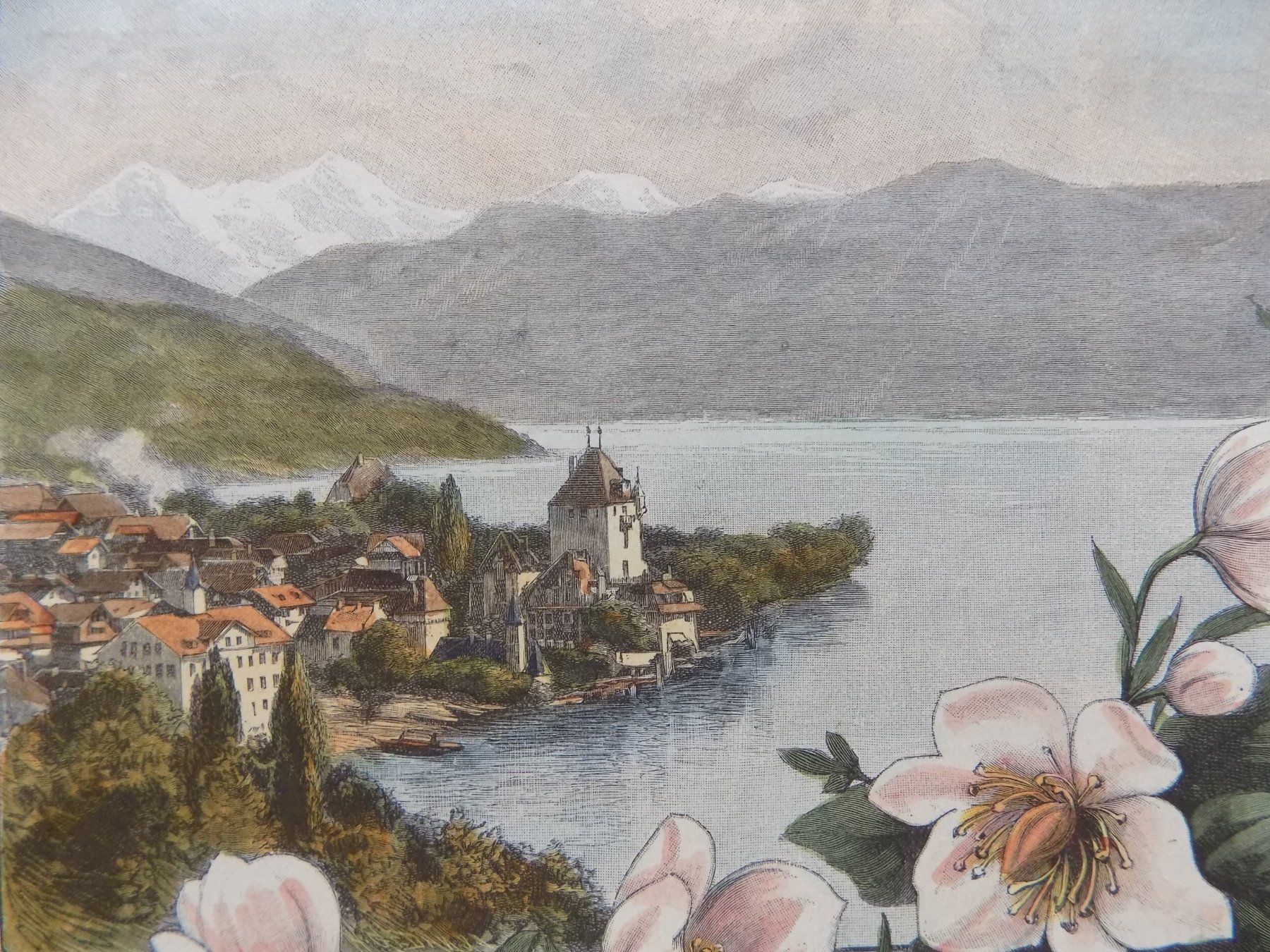Stiche: Oberhofen koloriert – Gebraucht aus Risch von Rischli15 3