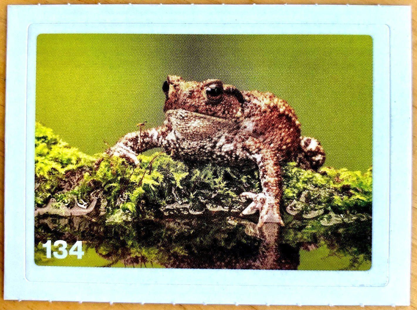Migros Carte collezionabili: Migros Nature Detectives - Bild Nr. 134 – Nuovo (secondo la descrizione) da Oberrieden venduto da Zimmerberg10