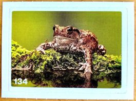 Migros Nature Detectives - Bild Nr. 134