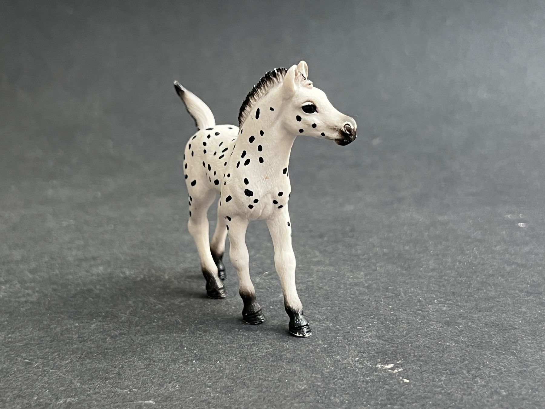 Schleich Statuette: Schleich Knabstrupper Fohlen Pferd – Usato da Ennetbaden venduto da mapa05 4