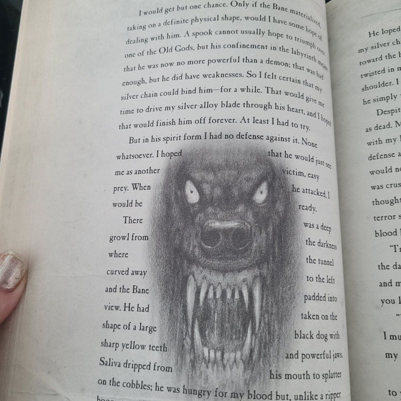 Bücher: Joseph Delaney- The Spooks Bestiary – Gebraucht aus SCHÜBELBACH von CoKaHa 4