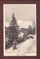 Davos - CLAVADEL - Waldweg