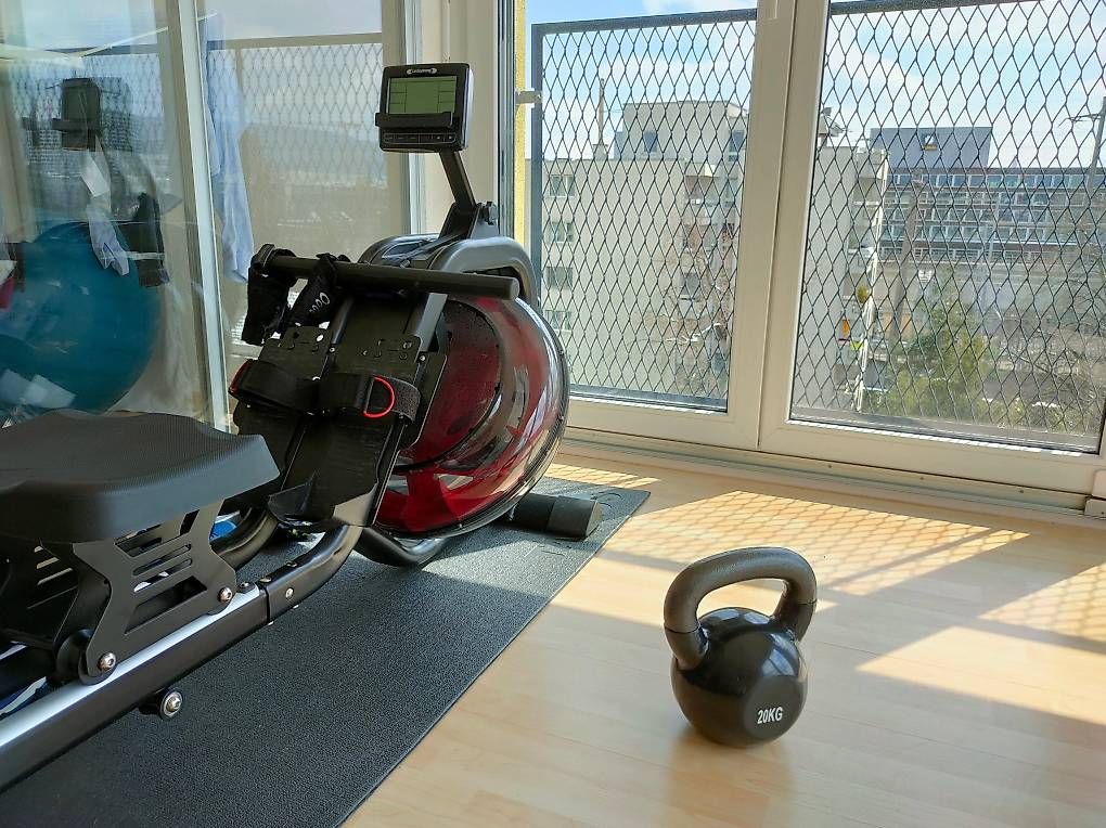 Hometrainer: Rudergerät (Rowing machine Baltic Rower Pro) – Usato da Dübendorf venduto da vskrin