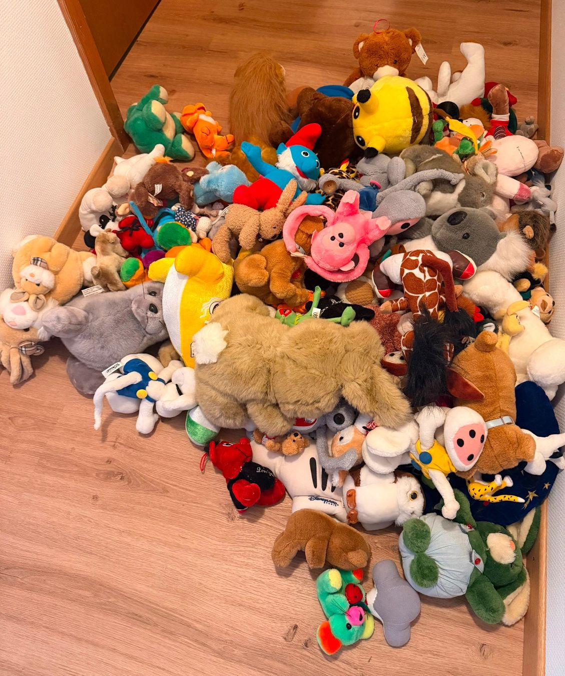 Spielzeuge: Plüsch- und Kuscheltiere – Gebraucht aus Waldstatt von mar_7jlv