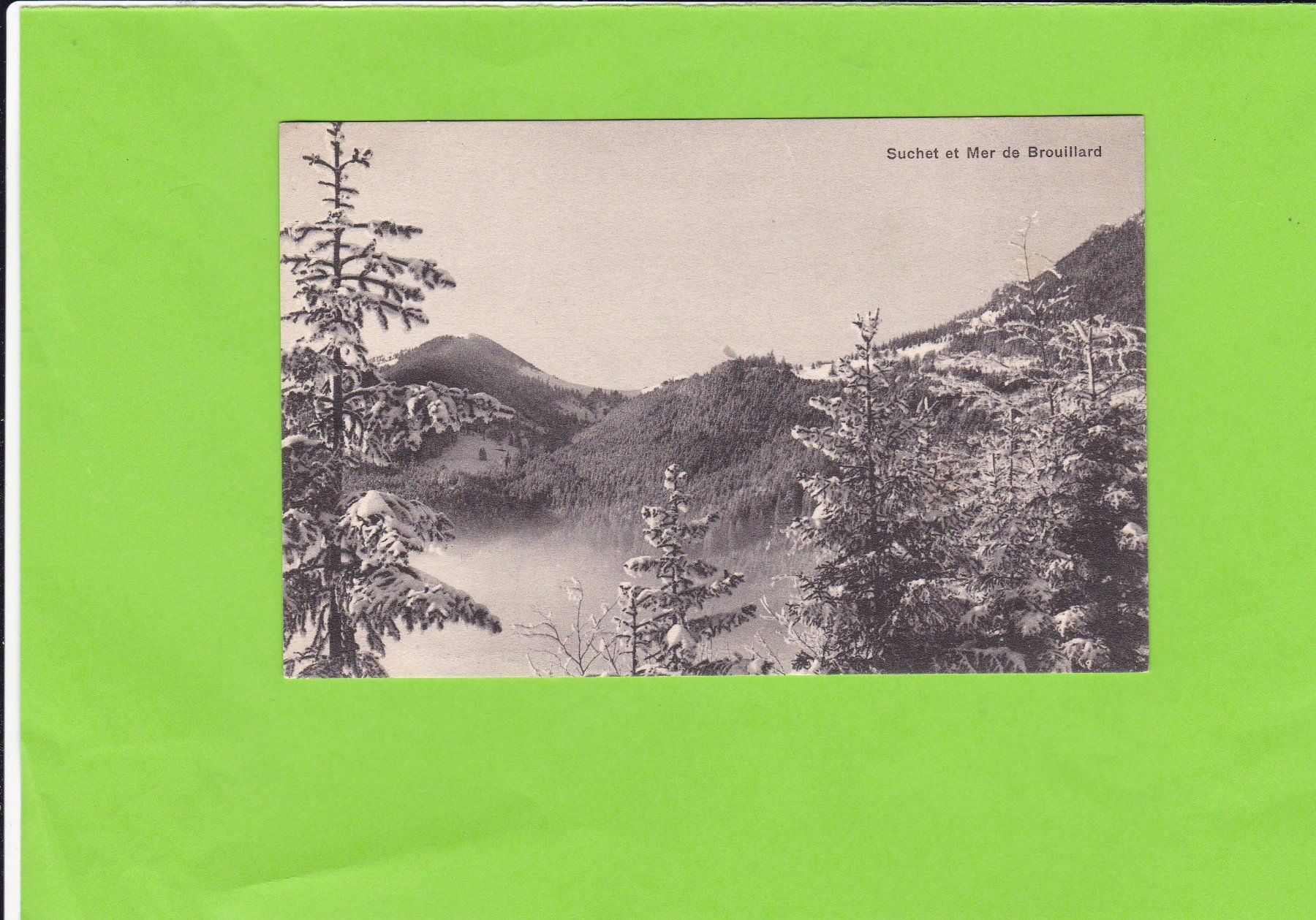 Cartoline postali: Suchet du Mer de Brouillard – Usato da St. Peterzell venduto da neckertal