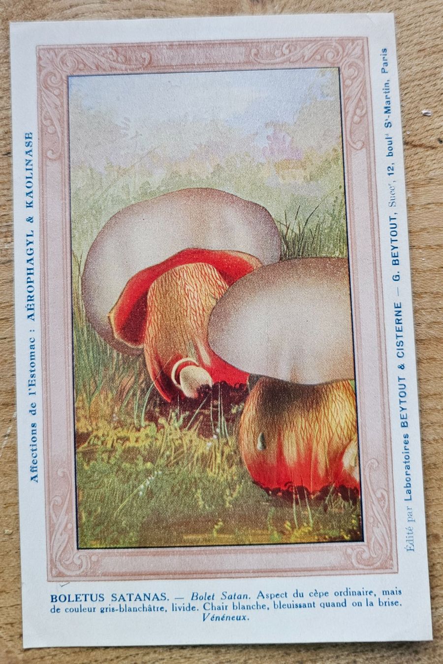 Cartoline postali: Carte postale publicitaire - Champignons – Usato da Les Valettes venduto da Nuba1