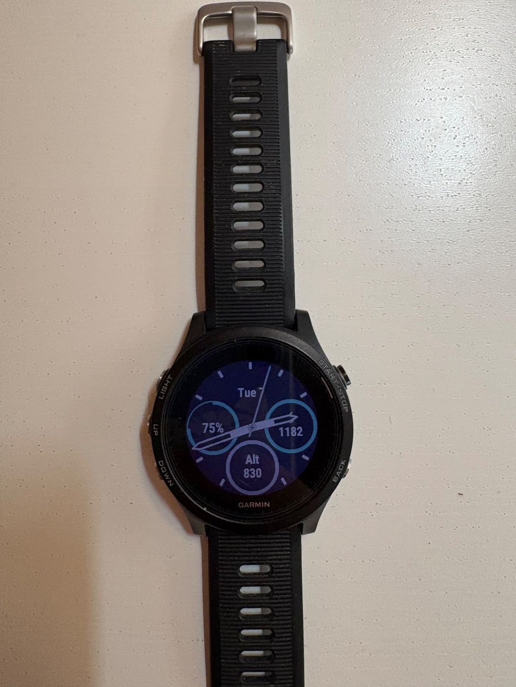 Garmin Smartwatch: Garmin Forerunner 935 – Usato da Bleiken venduto da Mito_evo 1