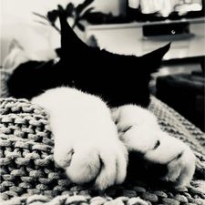 Profile image of yvi_bt26