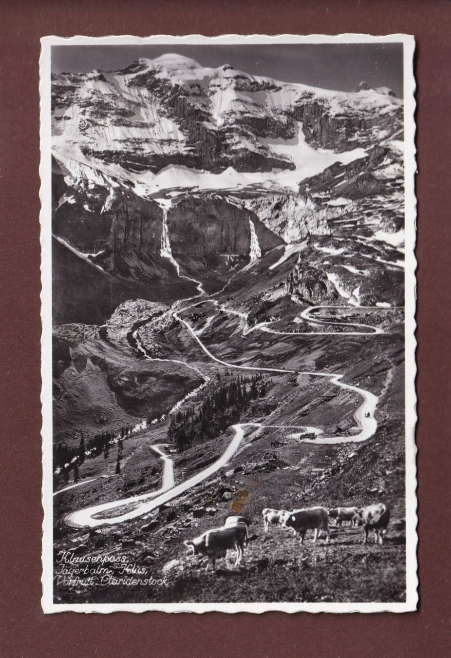 Cartoline postali: KLAUSENPASS - Kühe – Usato da Pully venduto da nicecards