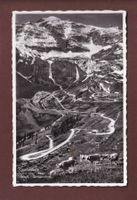 KLAUSENPASS - Kühe