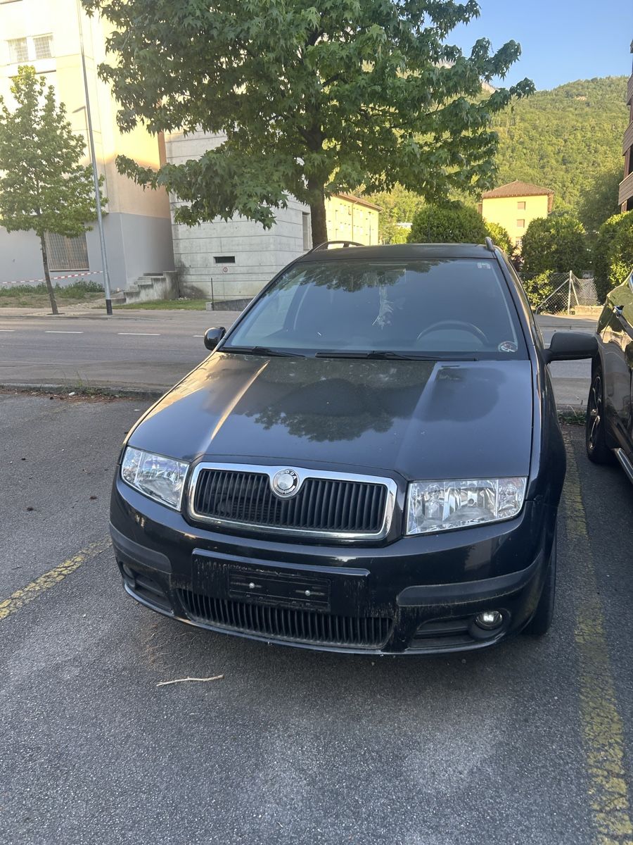 Skoda Automobili: skoda fabia combi – Usato da Monthey venduto da eaglewhite