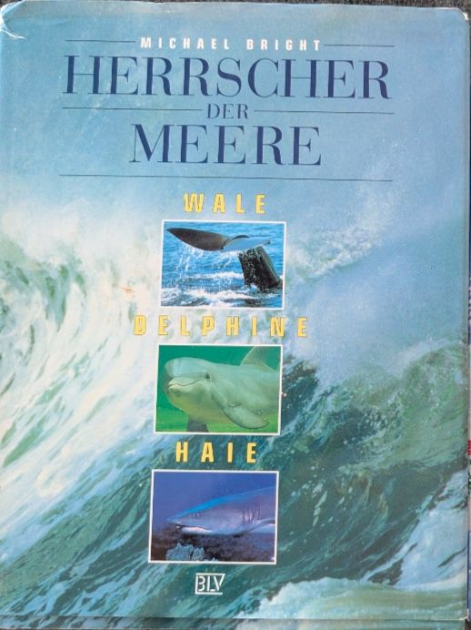 Bücher: Buch Wale, Delphine & Haie  – Gebraucht aus Ganterschwil von Nike18