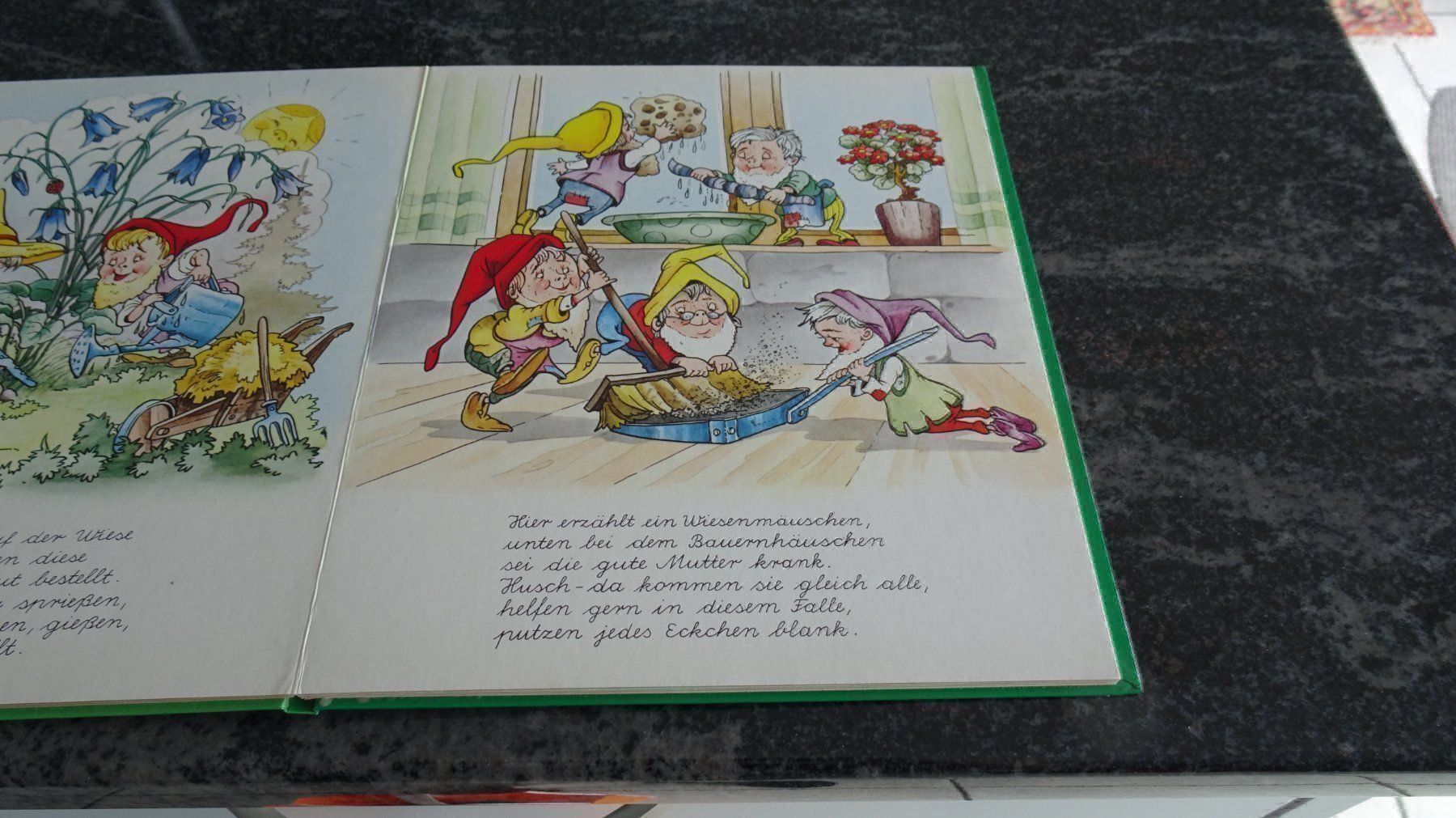 Libri: Die Wichtelmännlein mit Schreibschrift – Usato da Zürich venduto da Roulet 4