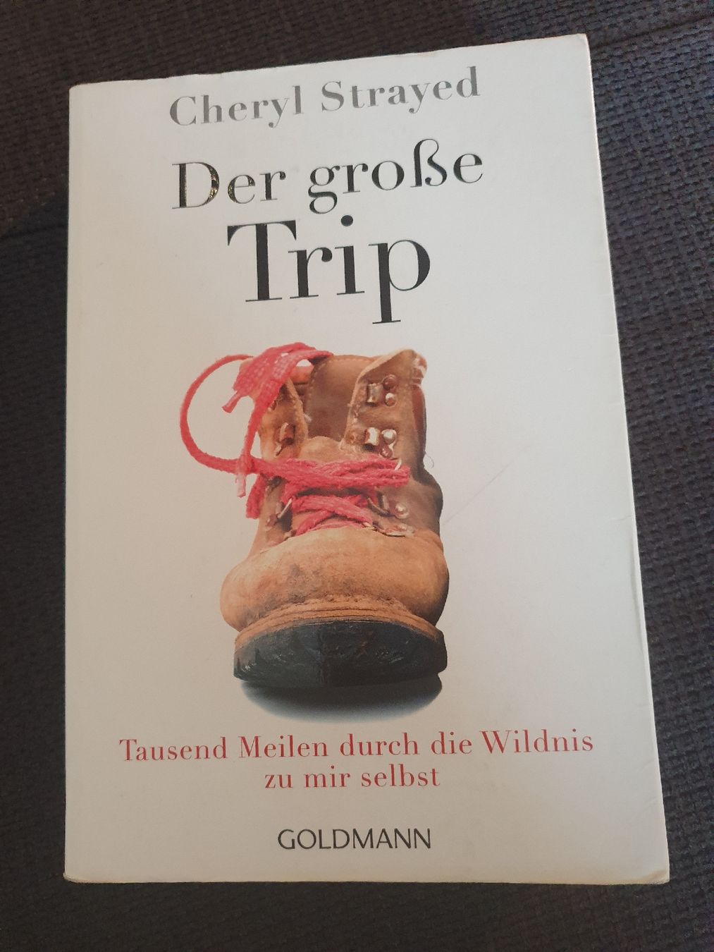 Livres: Der grosse Trip – D'occasion à Flaach par debiles