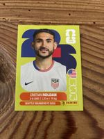 Panini USA 11