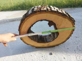 Nussbaum Holzscheibe Nr. 3 Dekoration