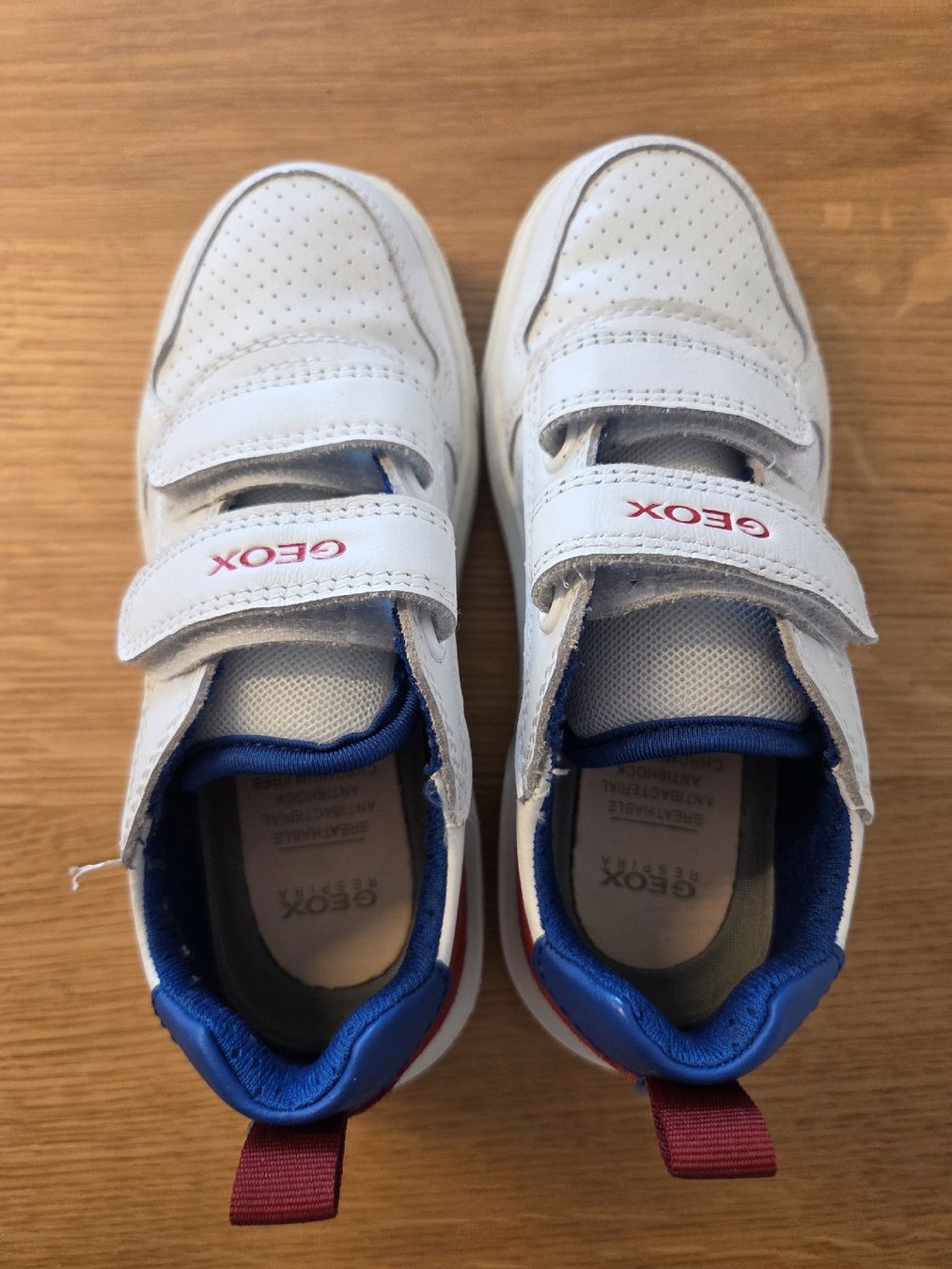 Geox Scarpe per ragazzi: Geox Lederschuhe 29 weiss NEU – Nuovo (secondo la descrizione) da Oberuzwil venduto da Umlobo 1