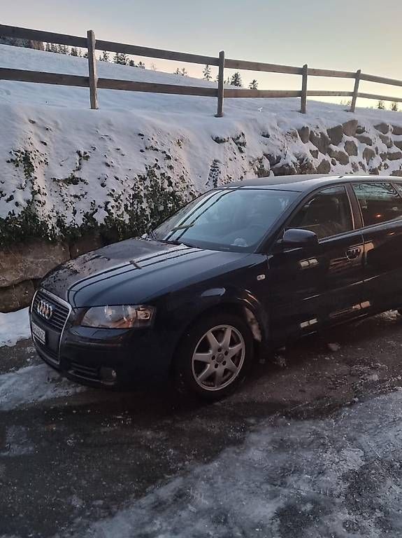 Audi Automobili: Audi A3 2.0t Quattro – Usato da Lutzenberg venduto da Joe_8j89 1
