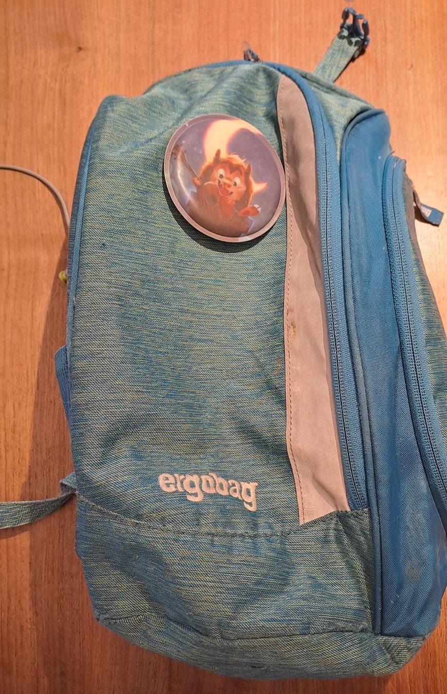 Ergobag Borse & Zaini: Ergobag Schulerthek – Usato da Wängi venduto da schicksal123 7