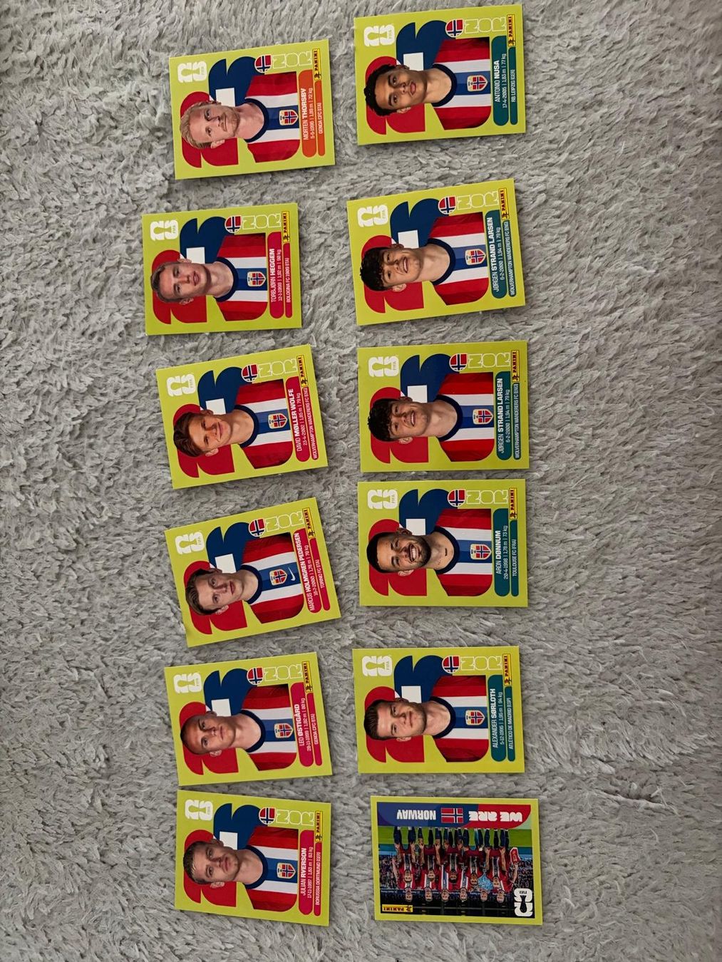Panini Carte collezionabili: Panini Sticker WM 2026 – Nuovo (secondo la descrizione) da Herzogenbuchsee venduto da sau_ht7r 6