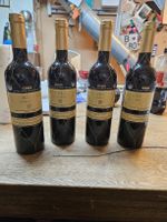 4 Flaschen Rotwein Reserva 2007 Terruno  