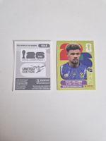 Panini Sticker RSA2