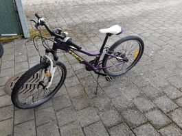 24 Zoll Kinder Mountainbike Trek lila gebraucht mit 
