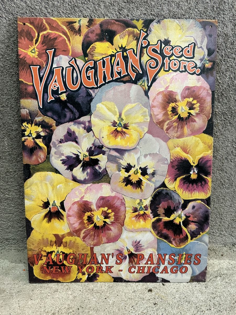 Insegne: Blumen stiefmütterli – Usato da Reinach AG venduto da rares75
