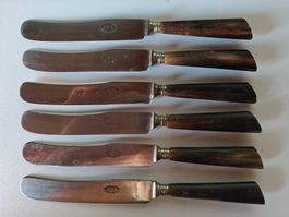 6 Antike Französische Messer – Horn-Griffe – Coutellerie Fin