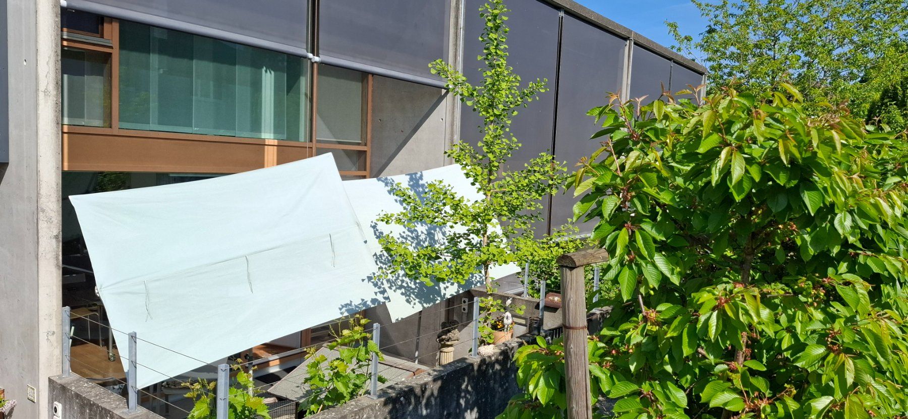 Glatz Ombrelloni: Parasols de Balcon/Terrasse - Marque GLATZ – Usato da Bellmund venduto da Eromulus 1