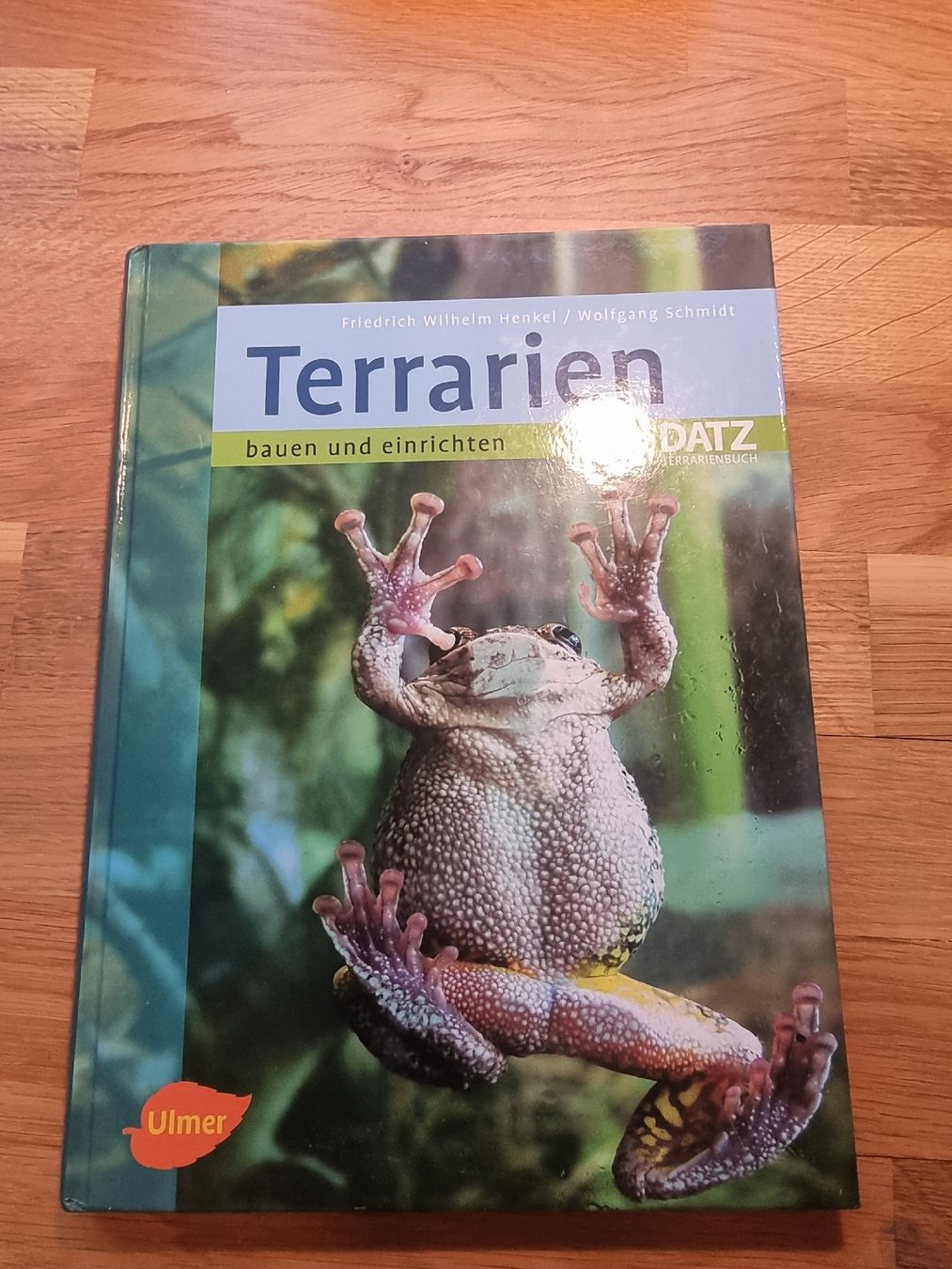 Libri: Terrarien bauen und einrichten – Nuovo (secondo la descrizione) da Derendingen venduto da Sarah.jana