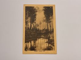 Vintage Postkarte - Trub - Acqua cheta