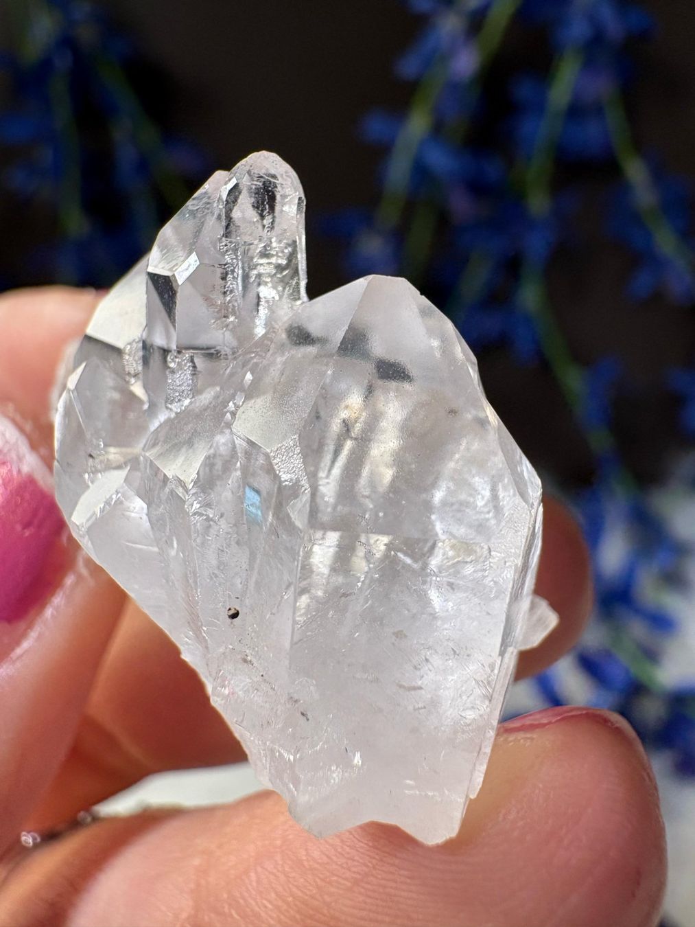 Minerali & Pietre curative: Lemurian-Quarz-Cluster – Nuovo (secondo la descrizione) da Neuheim venduto da m.hald 5
