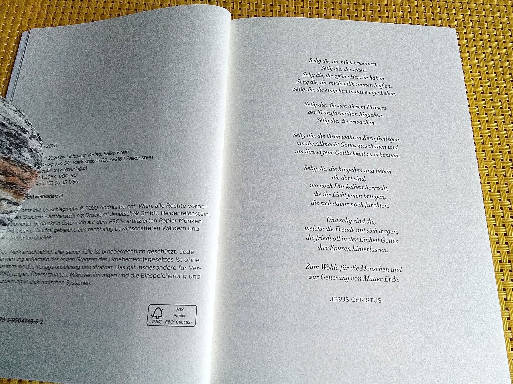 Libri: JESUS - Biografie  1 – Nuovo e nell'imballaggio originale da Rebstein venduto da Buchsi03 2
