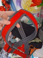 Hundegeschirr rot/grau verstellbar guter Zustand