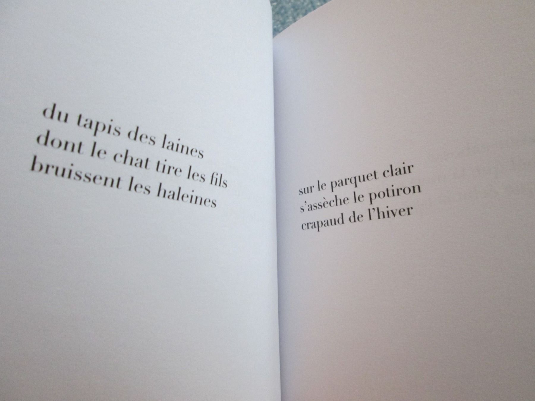 Livres: haïku – D'occasion à Neuchâtel par Dualseele 4