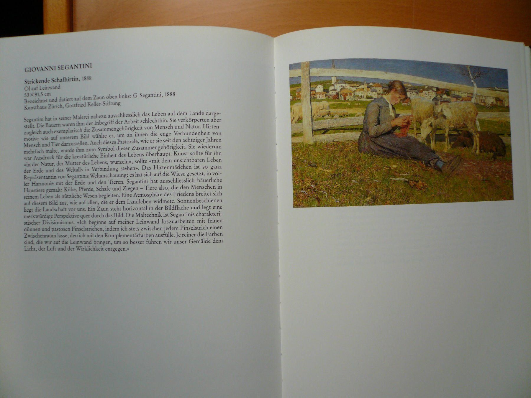 Libri: Kunst - Schweizer Malerei – Nuovo (secondo la descrizione) da Brunnadern venduto da lesezirkel 8