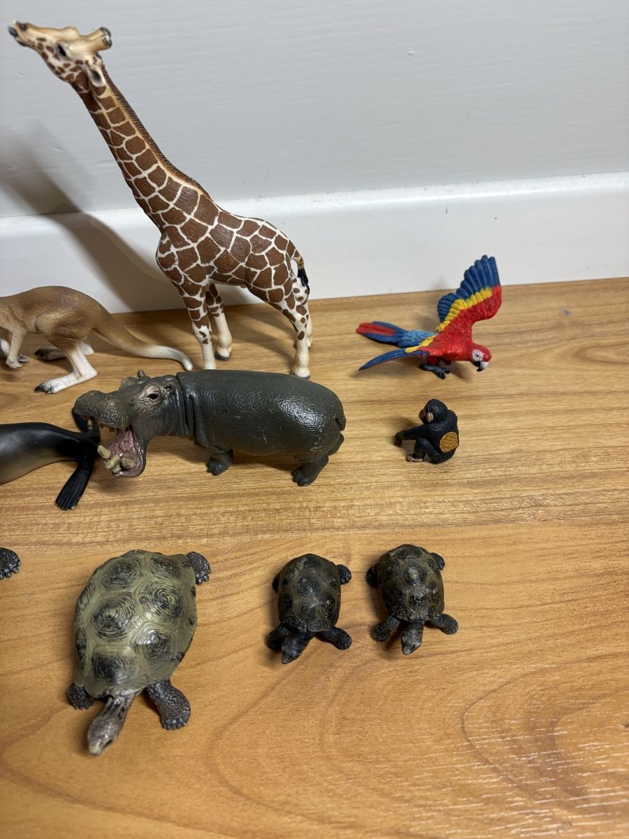 Schleich Jouets: Diverse Schleich Tiere – D'occasion à Belp par Mink3 2