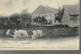 carte postale Mont Crosin