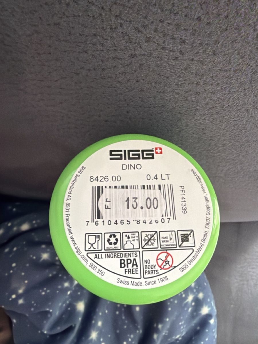 Sigg Borracce & Thermos: Sigg Flasche Dino Neu – Nuovo (secondo la descrizione) da Embrach venduto da Yeasy 3